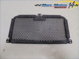 GRILLE DE RADIATEUR BMW S1000R 2016