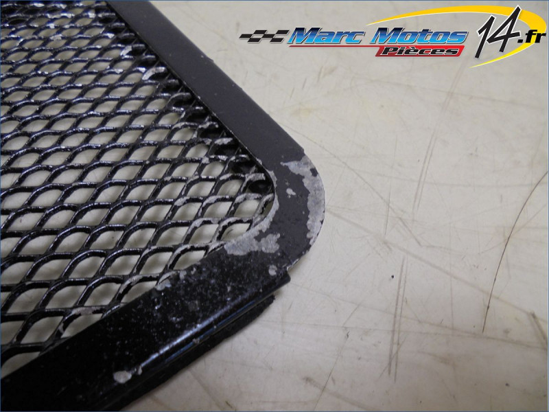 GRILLE DE RADIATEUR BMW S1000R 2016