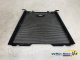 GRILLE DE RADIATEUR BMW S1000XR 2021