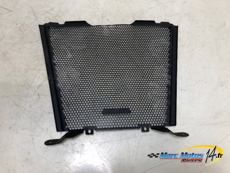 GRILLE DE RADIATEUR BMW S1000XR 2021