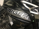 TRIUMPH 800 TIGER XRX