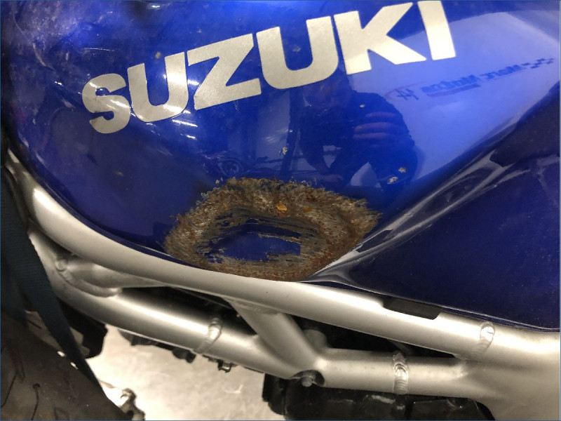 SUZUKI 650 SV 