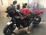 HONDA CBR650R 